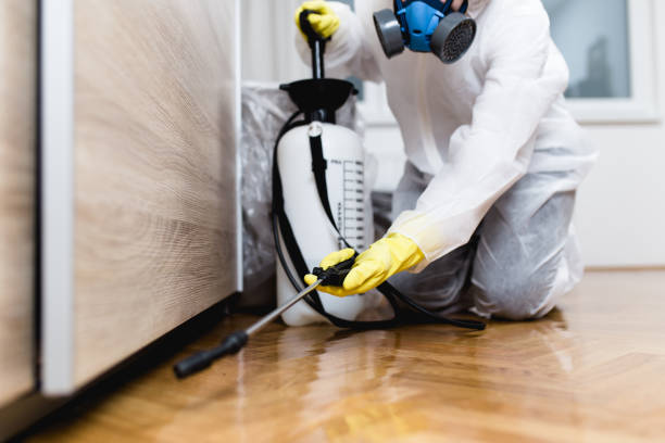 Best Mosquito Control Services  in Edwardsville, KS