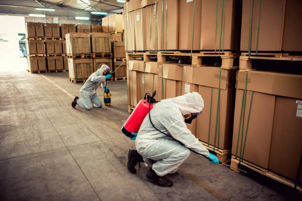 Best Ant Control Services  in Edwardsville, KS