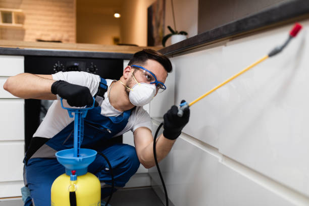 Best Best Pest Control Companies  in Edwardsville, KS