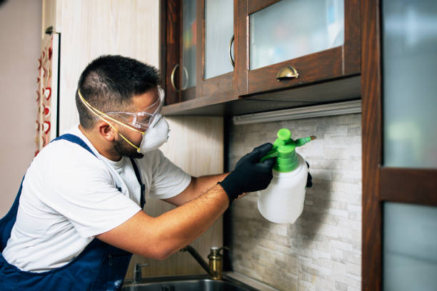 Best Affordable Exterminators  in Edwardsville, KS