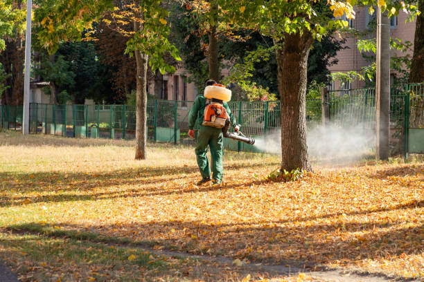 Best Affordable Pest Control Services  in Edwardsville, KS