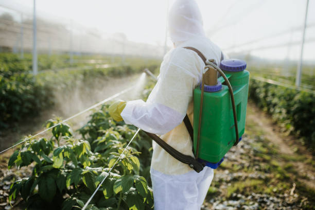 Best Pest Inspection Near Me  in Edwardsville, KS